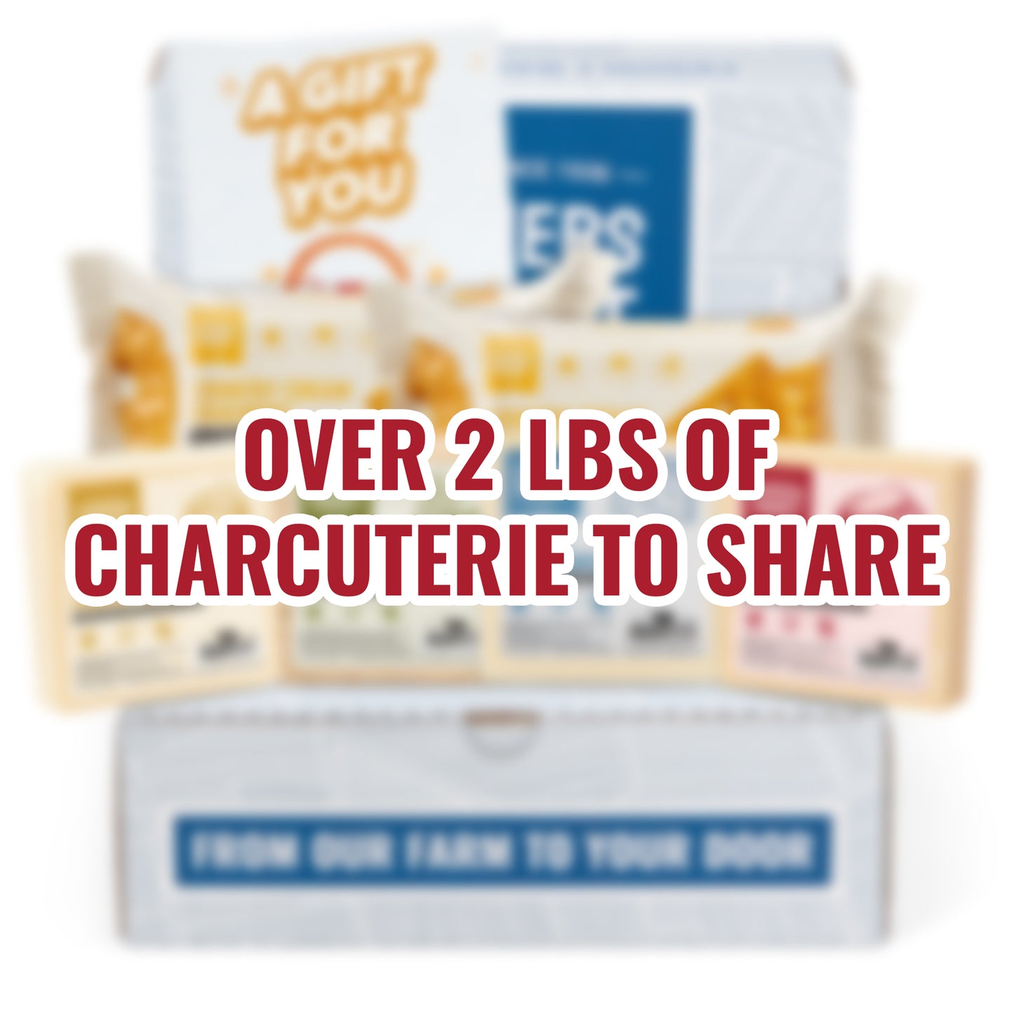World Cheese Assortment